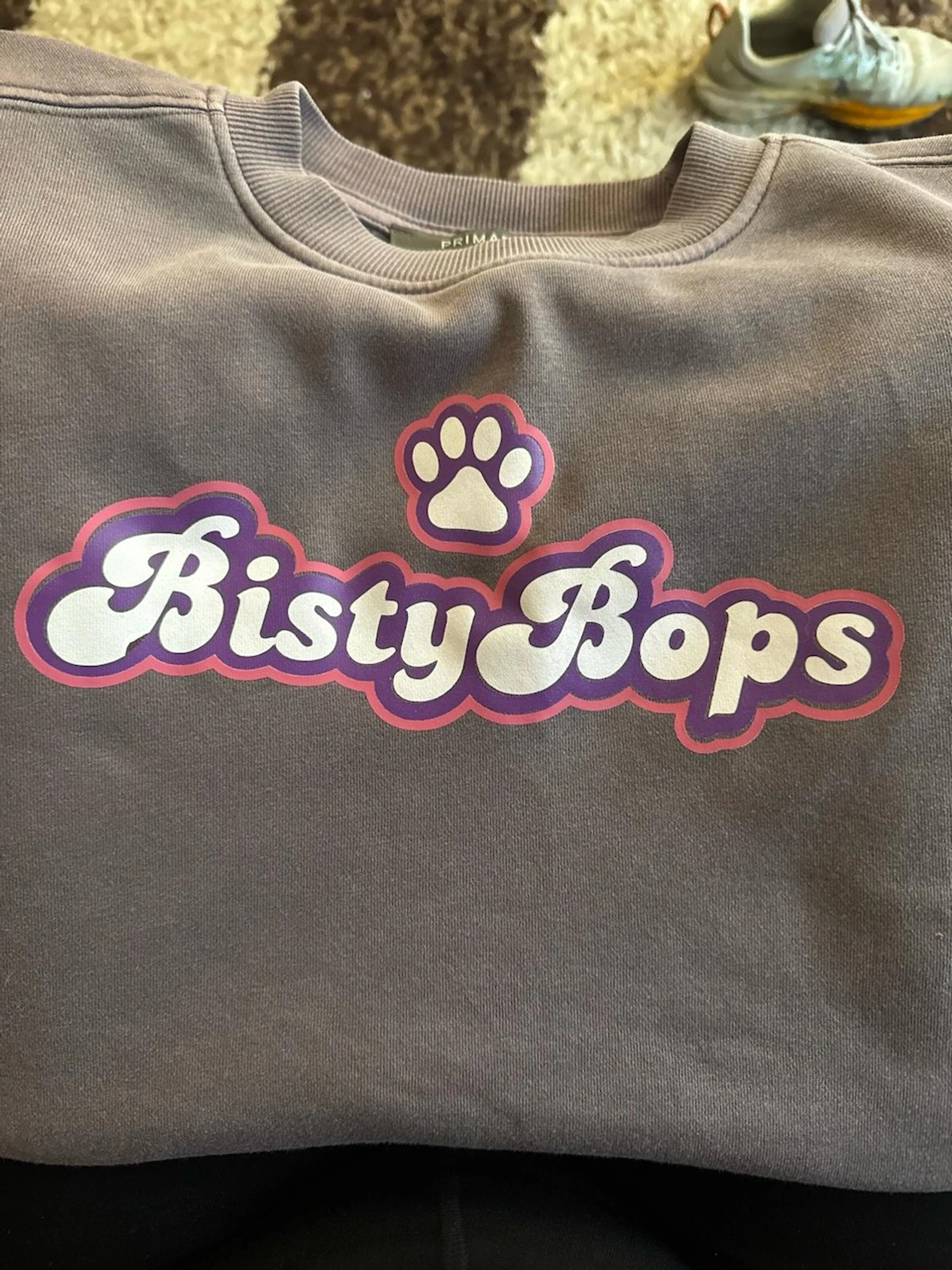 Custom hoodie with Bisty Bops and paw print